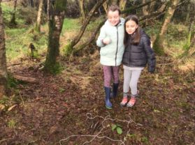 Shared Education P5