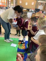 Roots of Empathy - Theme 1 - Meeting the Baby 