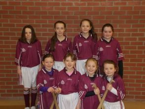 Camogie Team 2015